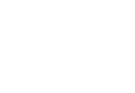 流山・東葛地域の犬しつけ ドッグトレーニング バロン